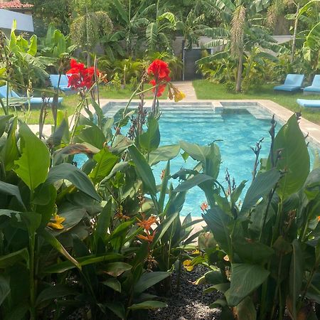 Hotel Good Life Coco Exteriér fotografie