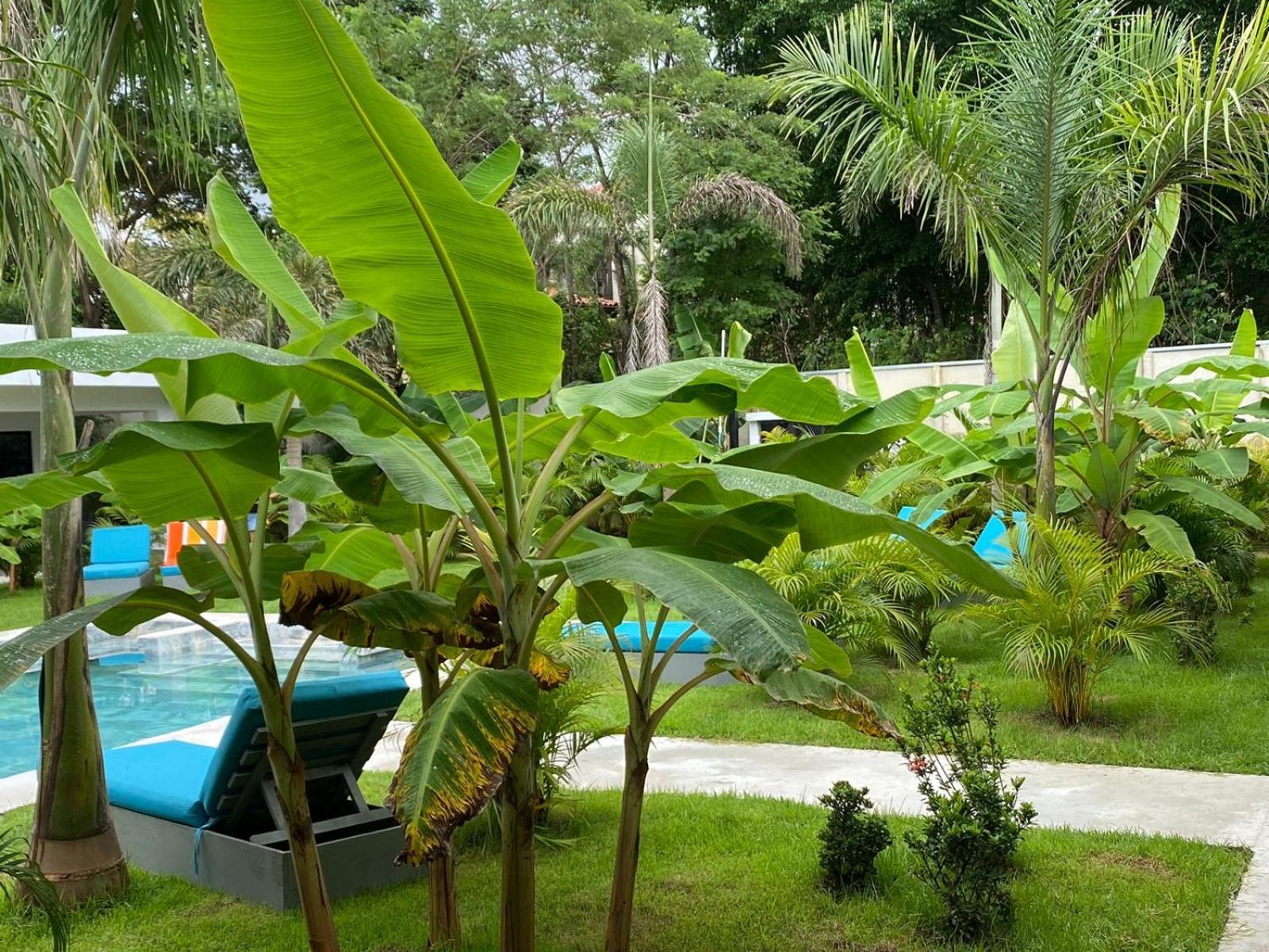 Hotel Good Life Coco Exteriér fotografie