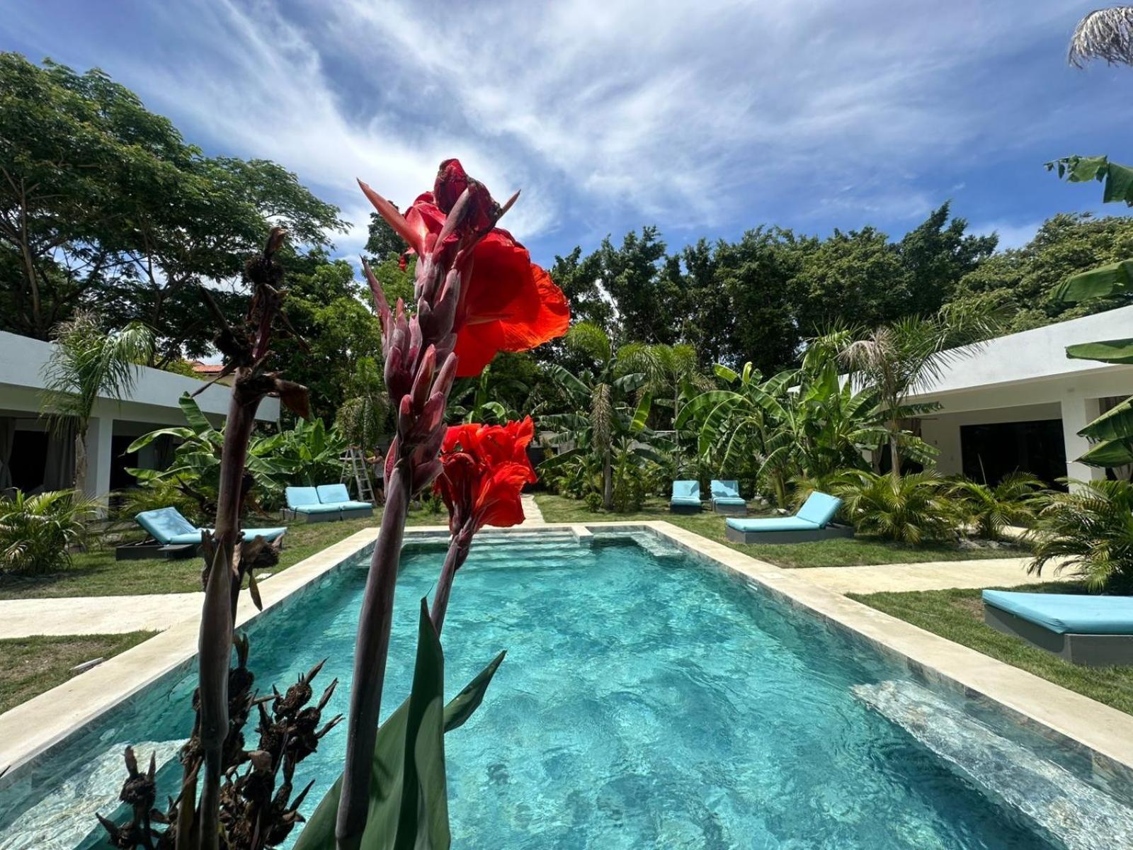 Hotel Good Life Coco Exteriér fotografie