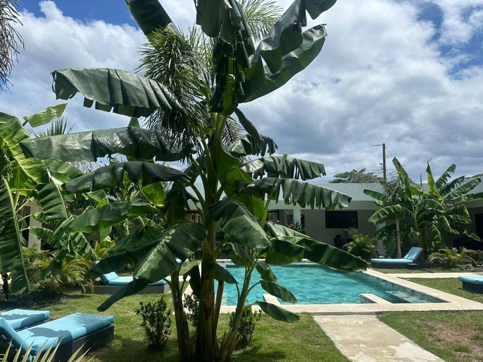 Hotel Good Life Coco Exteriér fotografie