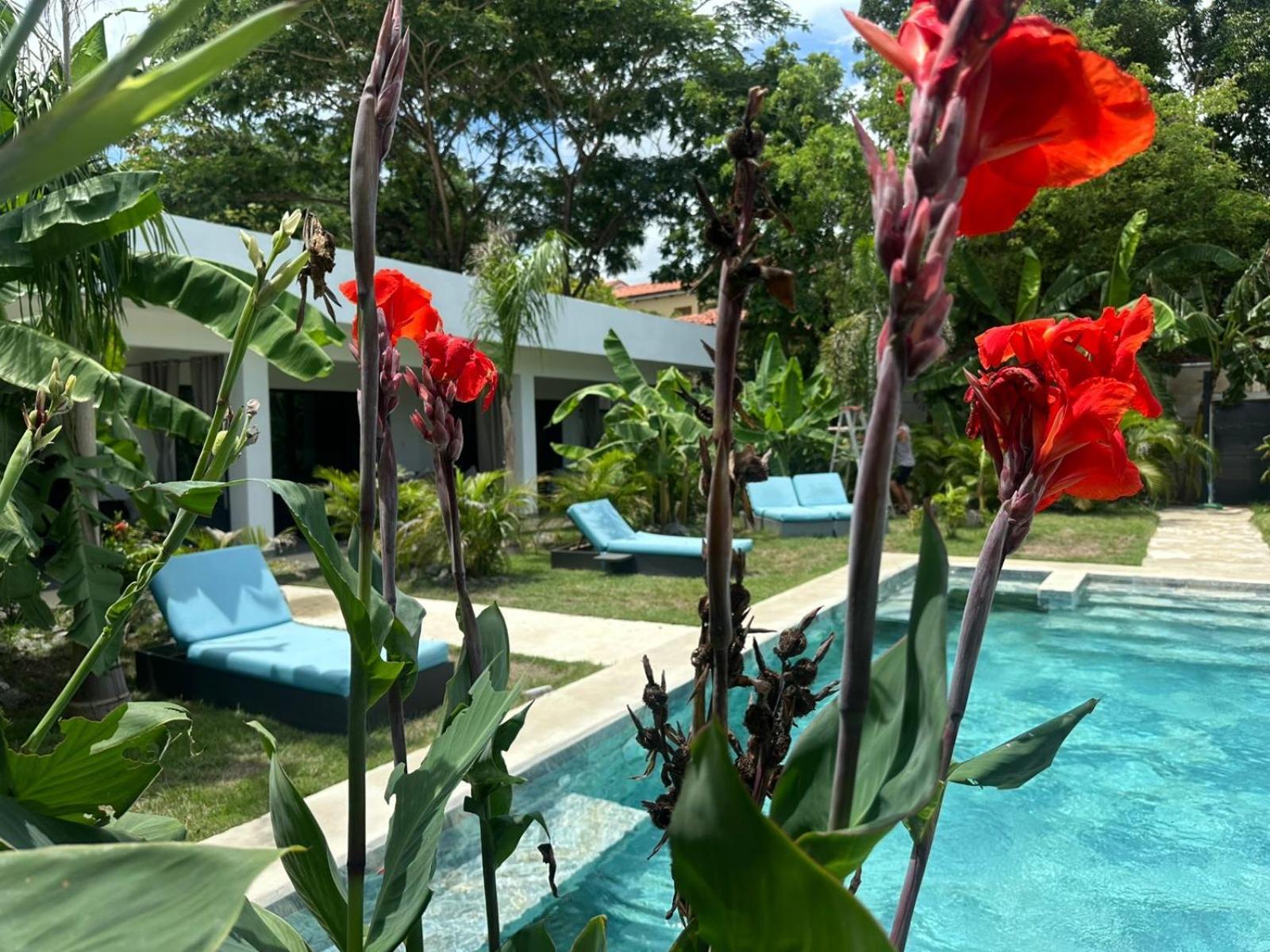 Hotel Good Life Coco Exteriér fotografie